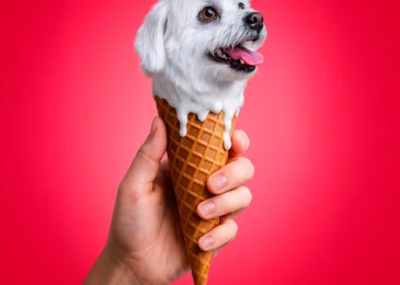 Proyecto Fotomontaje